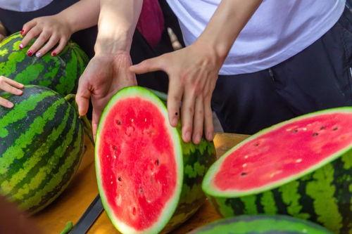 亚利桑那大学吃瓜,揭秘校园里的神秘风波